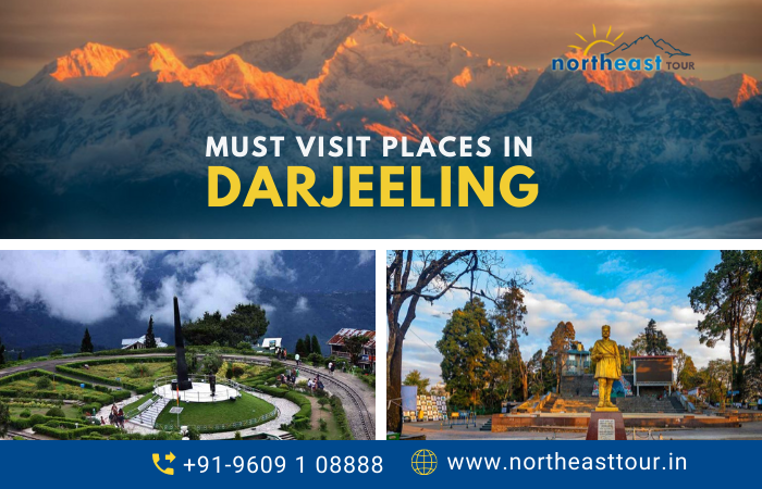 darjeeling local tour operators