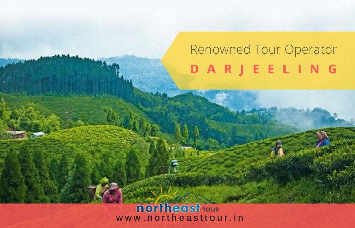 Tour operator in Darjeeling