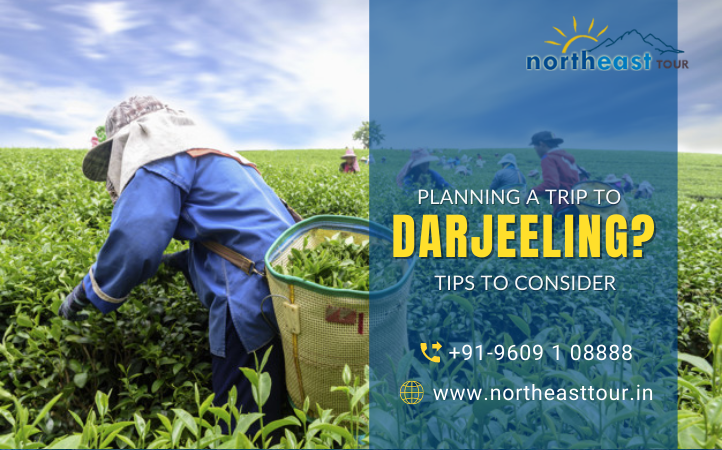 Darjeeling trip