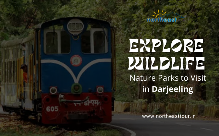 Tour operator in Darjeeling