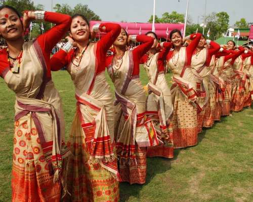 Travel Agency Assam