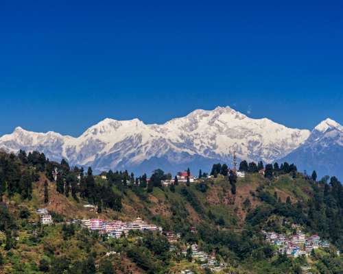Travel Agents Sikkim
